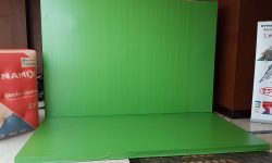 Backdrop Green Screen Solo